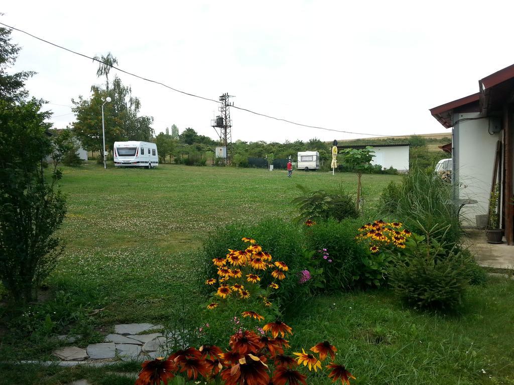 Camping Verila Sapareva Banya Exterior foto
